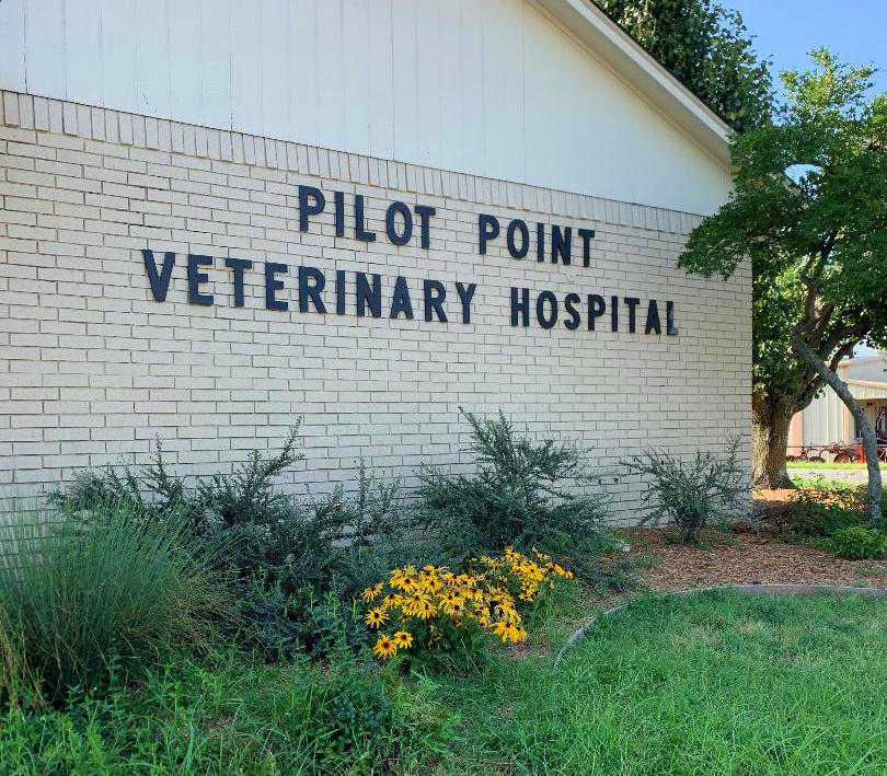 Pilot Point Veterinary Hospital Building